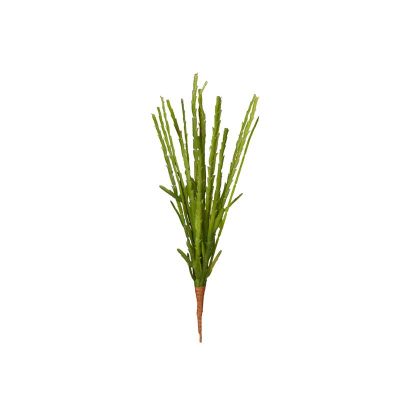 GRASS HOPPER LEG GRASS HOPPER LEG