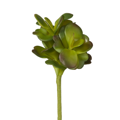 JADE JADE