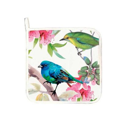 TOMA OLLA BIRD SONG TOMA OLLA BIRD SONG