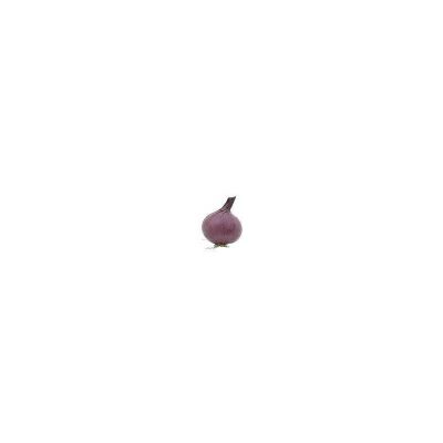 CEBOLLA MORADA CEBOLLA MORADA