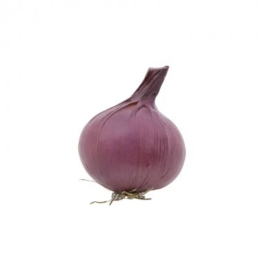 CEBOLLA MORADA CEBOLLA MORADA
