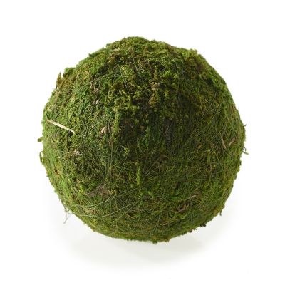 PELOTA DE MUSGO S PELOTA DE MUSGO S