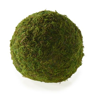 PELOTA DE MUSGO M PELOTA DE MUSGO M