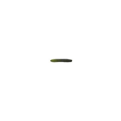 PEPINO PEPINO