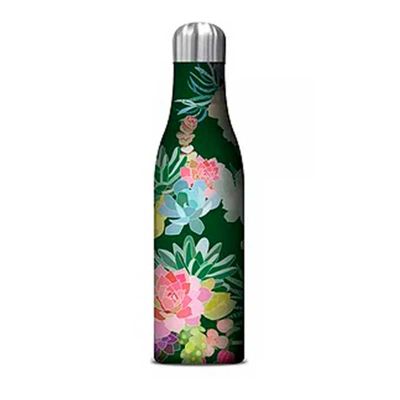 BOTELLA SUCCULENTS BOTELLA SUCCULENTS