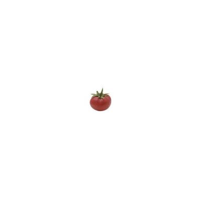 TOMATE TOMATE