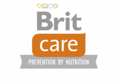 BRIT CARE