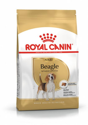ROYAL CANIN PERRO BEAGLE ADULTO 3KG