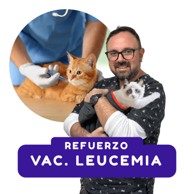 VACUNA LEUCEMIA (SOLO GATOS)