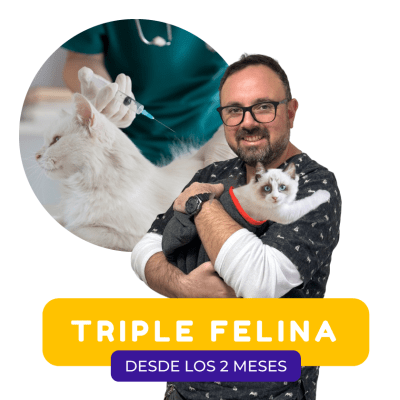 VACUNA TRIPLE FELINA (SOLO GATOS)