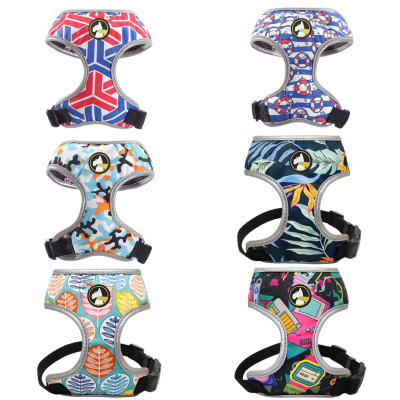 ARNES MODELO ABBA MARCA WONDER DOG1