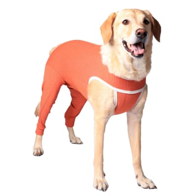 BODY COBRE 2X PATAS TRASERAS T6 PESO 10 A 13KG