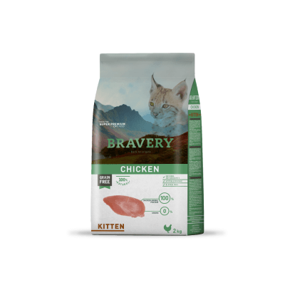 BRAVERY CAT KITTEN CHICKEN