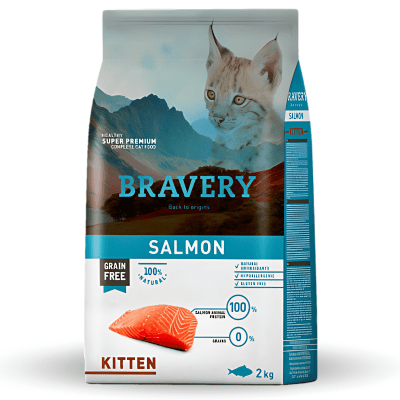 BRAVERY CAT KITTEN SALMON