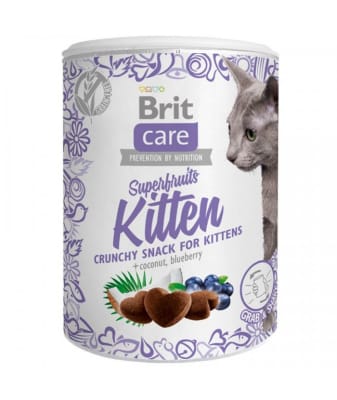 BRIT CARE GATO TARRITO PREMIO SUPERFRUIT KITTEN