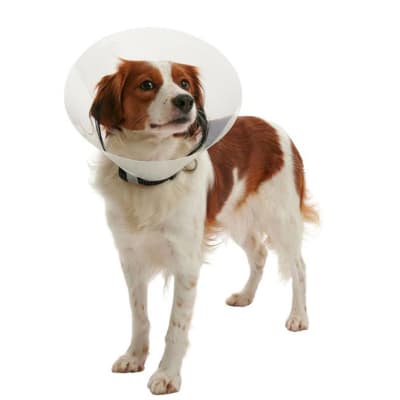 COLLAR ISABELINO PARA MASCOTAS1