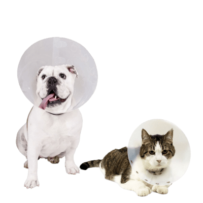 COLLAR ISABELINO PARA MASCOTAS MARCA MARBEN PETS