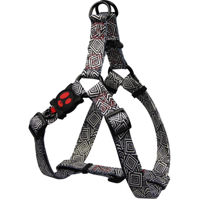 DOCO LOCO ARNES MODELO HOLOGRAM