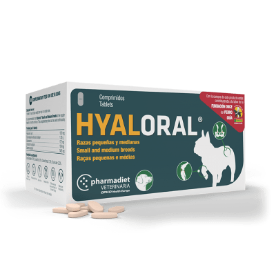 HYALORAL RAZAS PEQUEÑAS