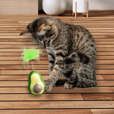 JUGUETE DE PALTA CON CATNIP MARCA WONDER CAT