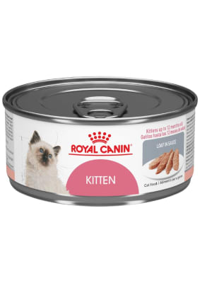ROYAL CANIN LATA GATO KITTEN 165GR