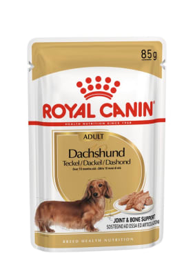 ROYAL CANIN POUCH PERRO DACHSHUND ADULTO 85GR