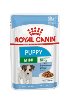 ROYAL CANIN POUCH PERRO MINI PUPPY 85GR