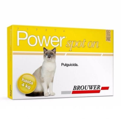POWER GATO HASTA 4 KG