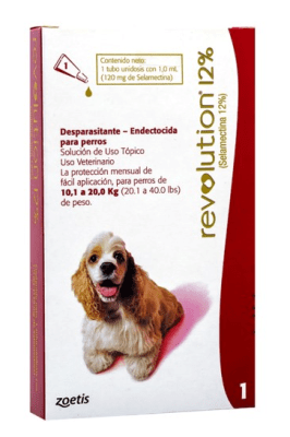REVOLUTION 12% PERRO 10.1 - 20KG