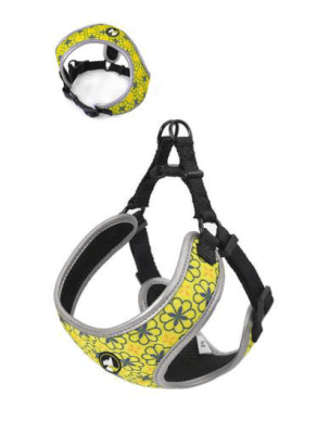 ARNES MODELO AMY MARCA WONDER DOG1