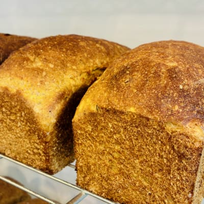 PAN DE CAMOTE