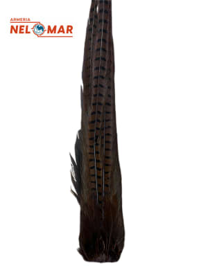 FAISAN HARELINE COLA CAFE