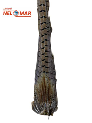 FAISAN HARELINE COLA NATURAL1