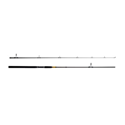 CAÑA SHIMANO FX (M)