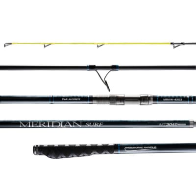 CAÑA MARINE MERIDIAN SURF 3,90 M 100-250 G1