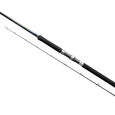 CAÑA SHIMANO SALTY ADVANCE SHORE JIGGING S100MH