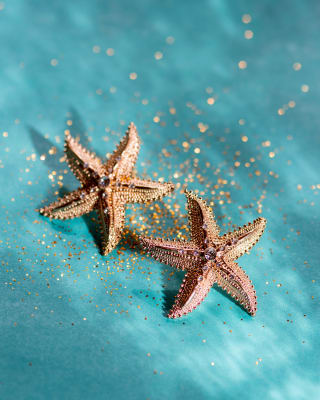 ARETES STARFISH STRASS