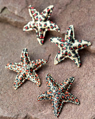 ARETES STARPRINT