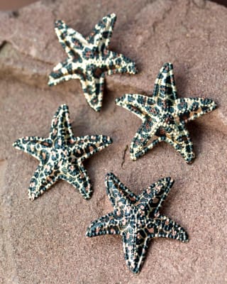 ARETES STARPRINT