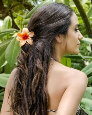 CLIP HAWAII LARGE COLORES VARIOS