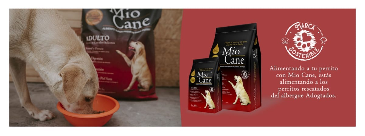 whatsappimage2025 02 06at5 09 43pm8434.jpeg