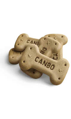 Galleta Canbo Biscuit