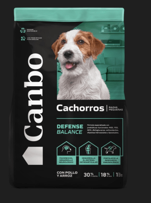 CANBO CACHORRO POLLO RAZA PEQUEÑA