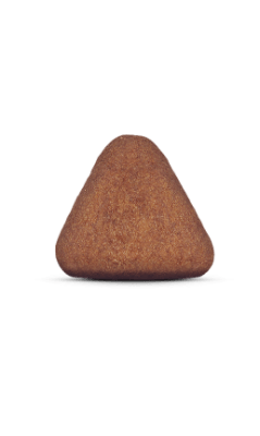 Canbo Adulto Cordero Razas Medianas Y Grandes 3 Kg