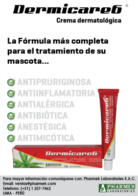 DERMICARE 20 GR