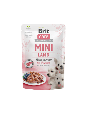 POUCH BRIT CARE