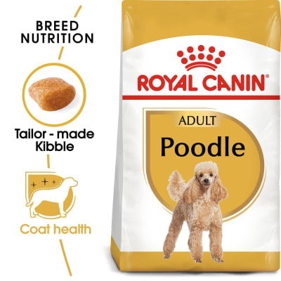ROYAL CANIN ADULT POODLE 1.5 KG