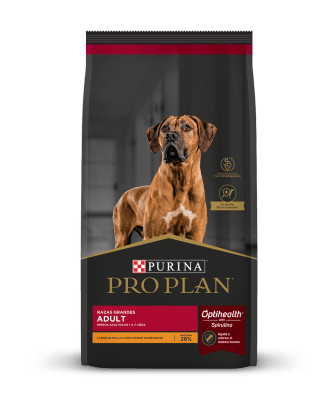 Pro Plan Adulto Razas Grandes Pollo 12 Kg