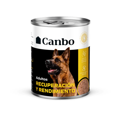 PATE CANBO RECUPERACIÓN Y RENDIMIENTO 330 GR