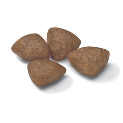 Royal Canin Mini Starter Mother & Babydog 3 Kg